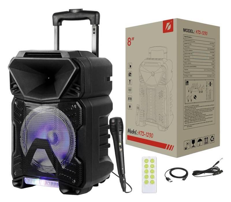Caixa De Som Grande Com Rodinhas Microfone controle - KapBom