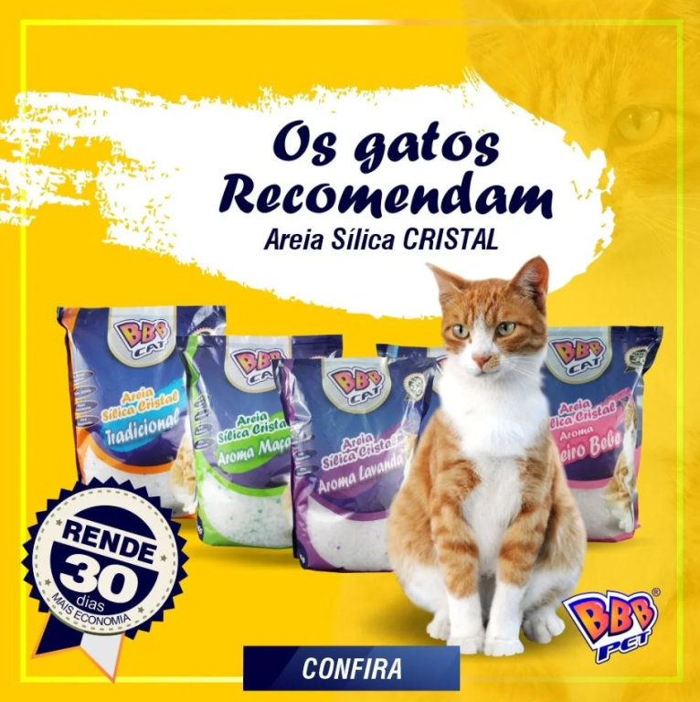 AREIA SILICA GROSAS TRADICIONAL (551)-*bbb