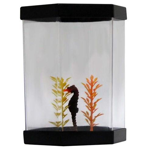 BETEIRA SEXTAVADA ENFEITE 1LT PRETA (0545)- *stillpet