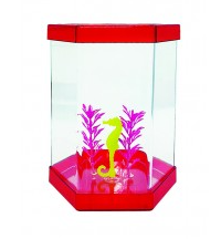 BETEIRA SEXTAVADA ENFEITE 1LT VERM (0532)-*stillpet
