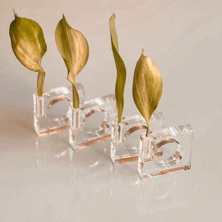 Porta Guardanapo de Acrilico para flor