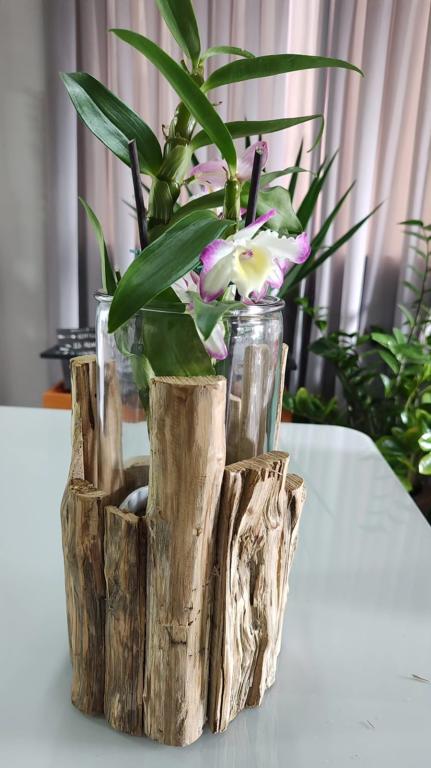 Vaso Vidro com Lascas de Madeira Rustico G