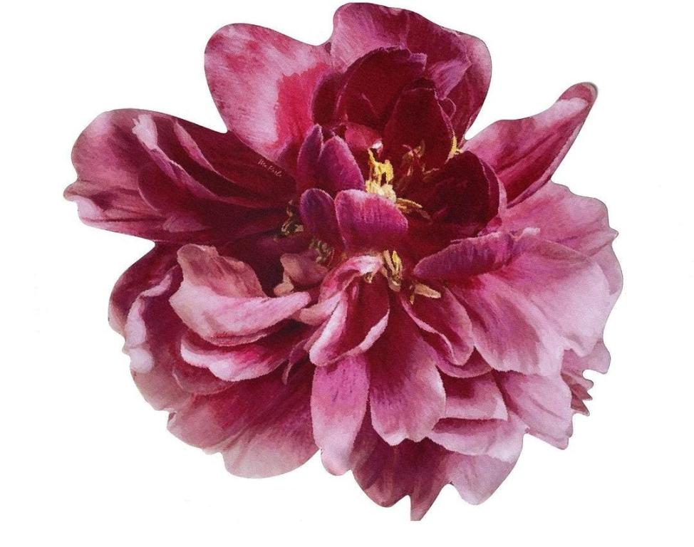 Lugar Americano Peonia Rubi