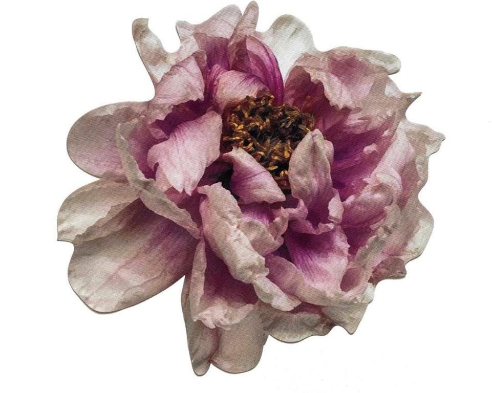 Lugar Americano Peonia Rosa
