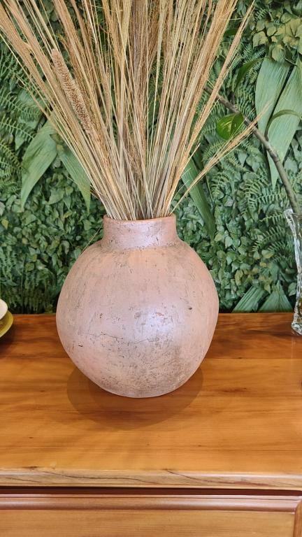 Vaso Barro Pequeno