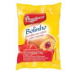 BOLINHO BAUDUCCO BAU/MORAN. 16X40
