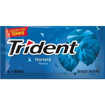CHICLETE TRIDENT HORTELÃ CX21 UN