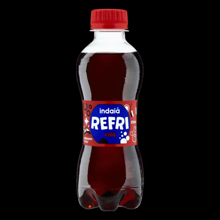 REFRIG.INDAIA COLA PET 12X250ML