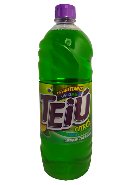 DESINF.TEIU CITRUS 12X1LT