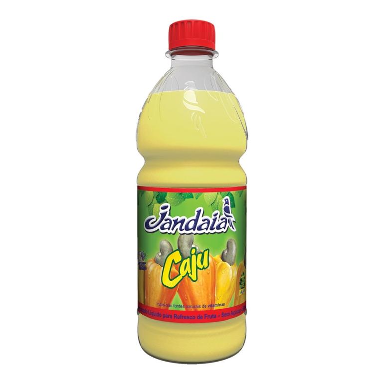 SUCO JANDAIA CAJU 12X500ML