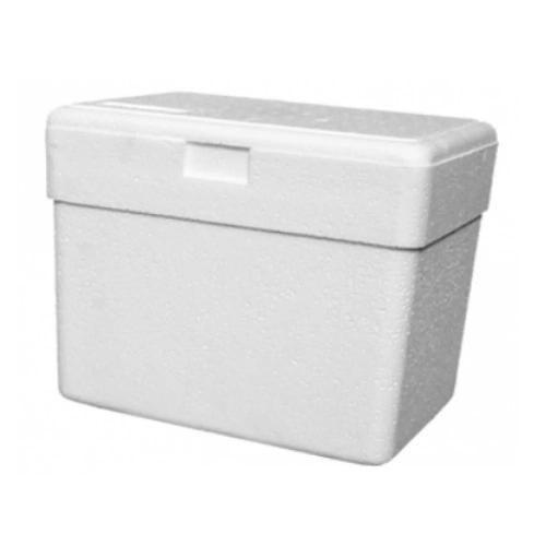 CAIXA TERMICA ISOPOR 21L*