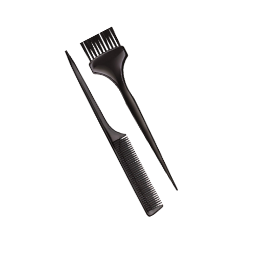 KIT SIMPLES PRETO PINCEL E PENTE TINTURA SANTA CLARA
