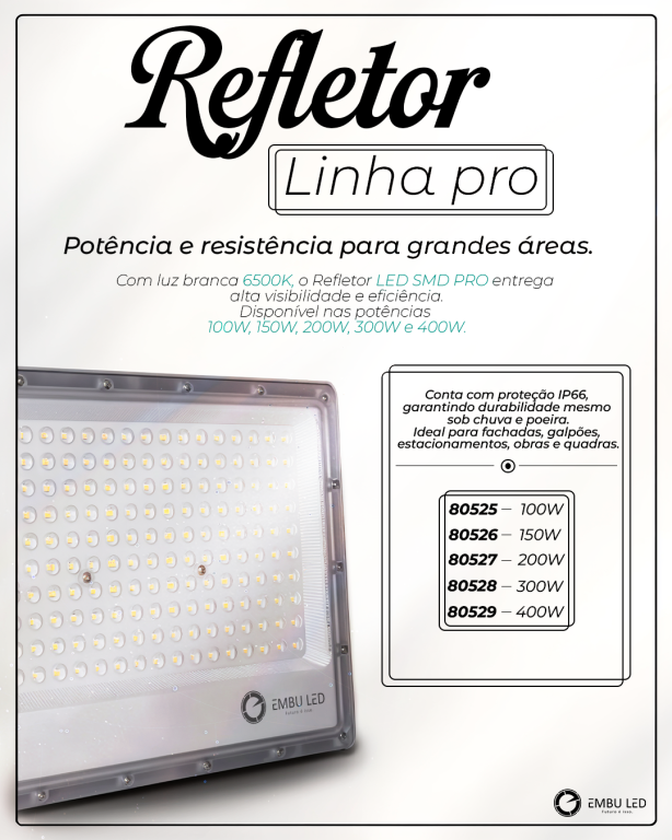 1-REFLETOR LINHA PRO SMD 300W 6500K