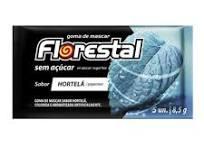 CHICLE LAMINADO FLORESTAL HORTELÃ (12UN DP)