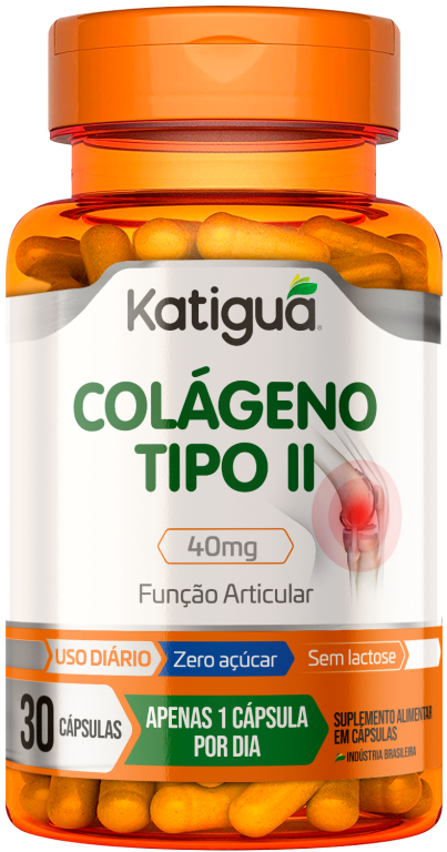 COLÁGENO TIPO II 30caps KATIGUA
