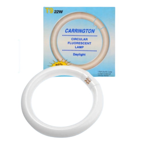 LAMPADA CARRINGTON 604-24810 - 22 W