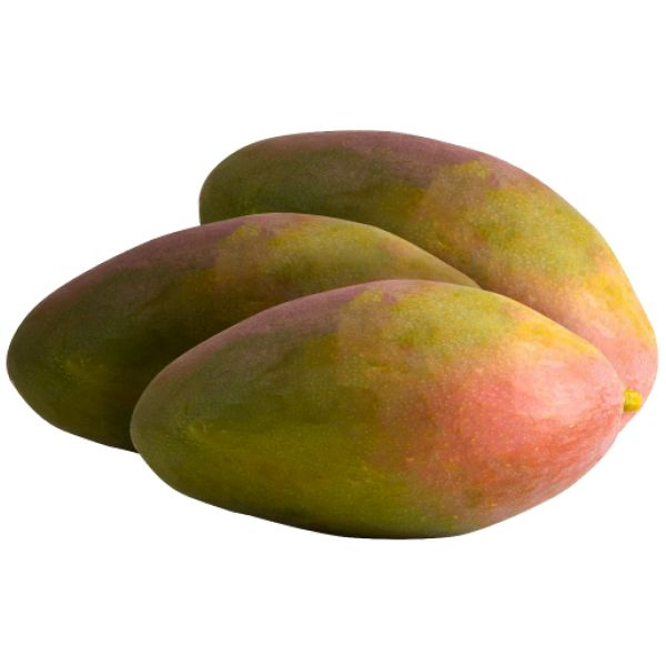 Manga Palmer Cx 18kg