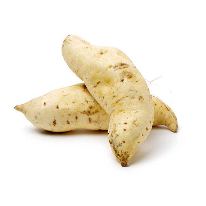 Batata Doce Graúda Branca