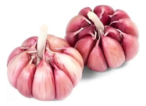 Alho Com Casca Roxo 6/7 Cx 10 Kg /5kg