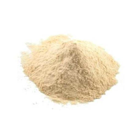 Cebola em pó