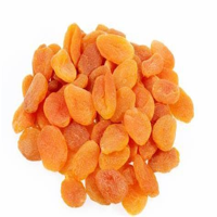 Damasco