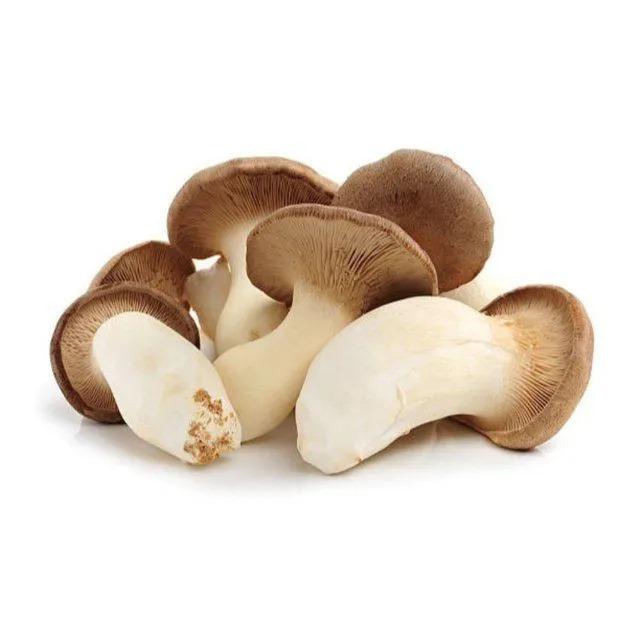 Cogumelo Erynghi 200g