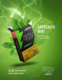 FUMO ZGY HAPOCALYX MINT C/ 10UN