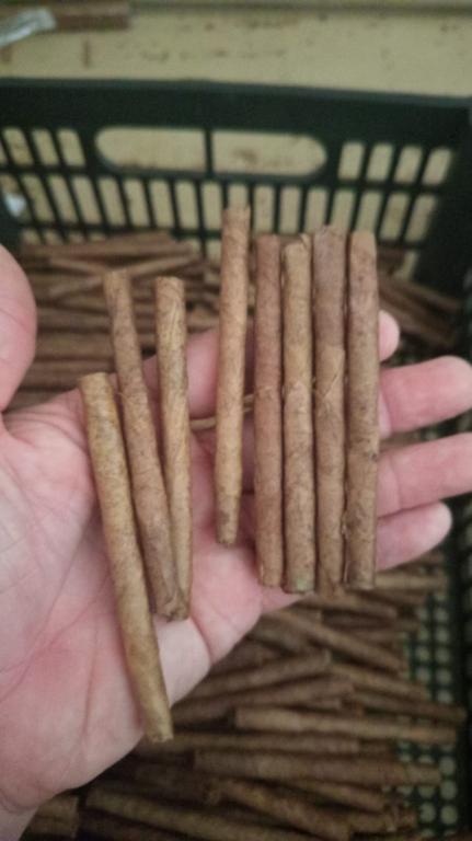 CIGARRILHAS LS TRADICIONAIS C/50