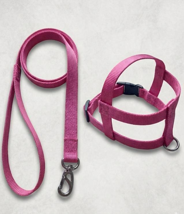 CONJUNTO PEITORAL GRADE DE NYLON Nº 01 (TIC-TAC)