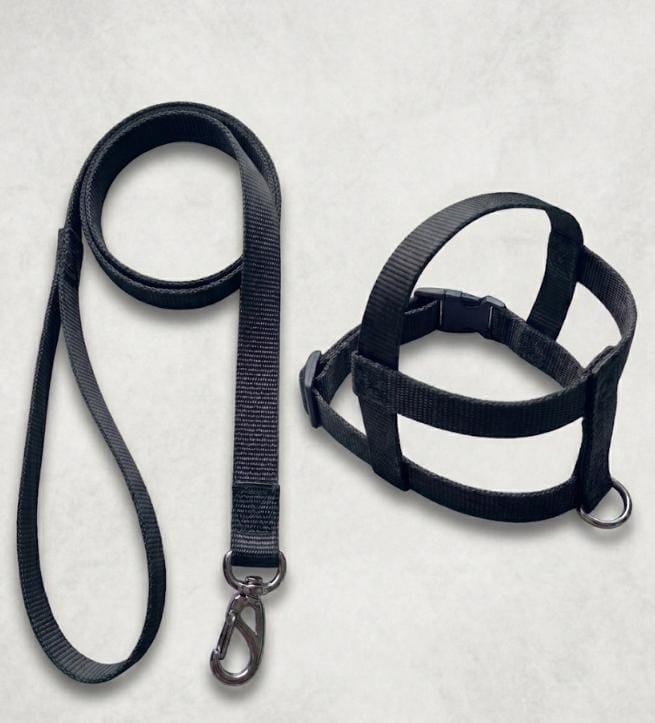 CONJUNTO PEITORAL GRADE DE NYLON Nº 03 (TIC-TAC)
