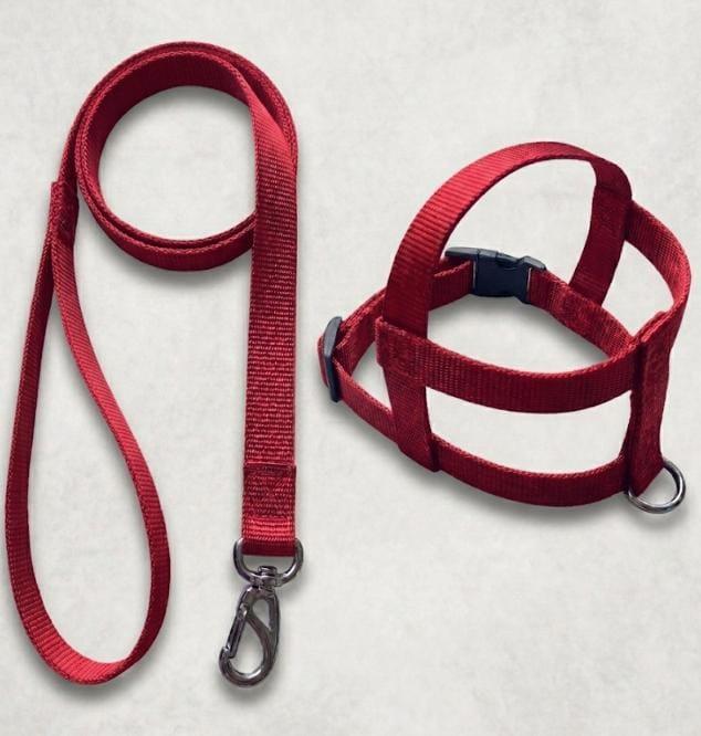 CONJUNTO PEITORAL GRADE DE NYLON Nº 03 (TIC-TAC)