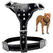 PEITORAL DE COURO EMBORRACHADO - PIT BULL - GRANDE