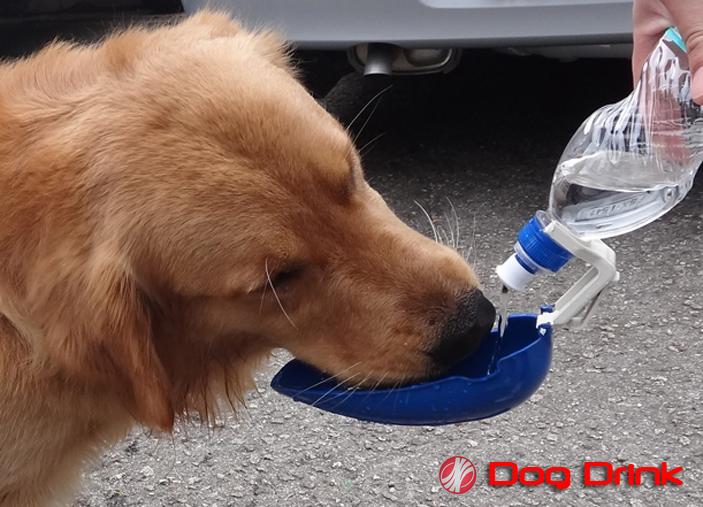 BEBEDOURO DOG DRINKS AZUL
