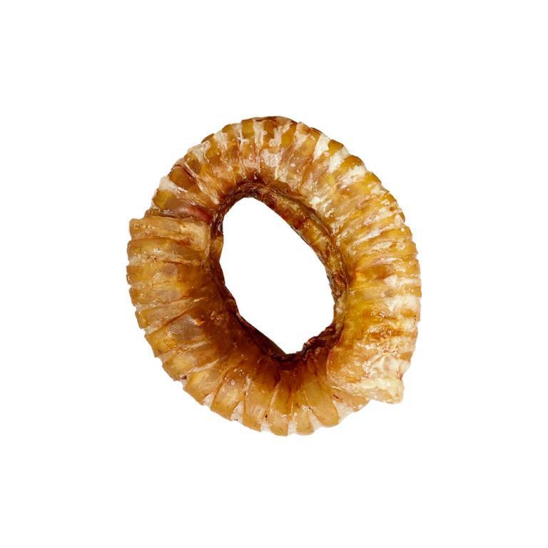 TRAQUEIA BOVINA DONUT
