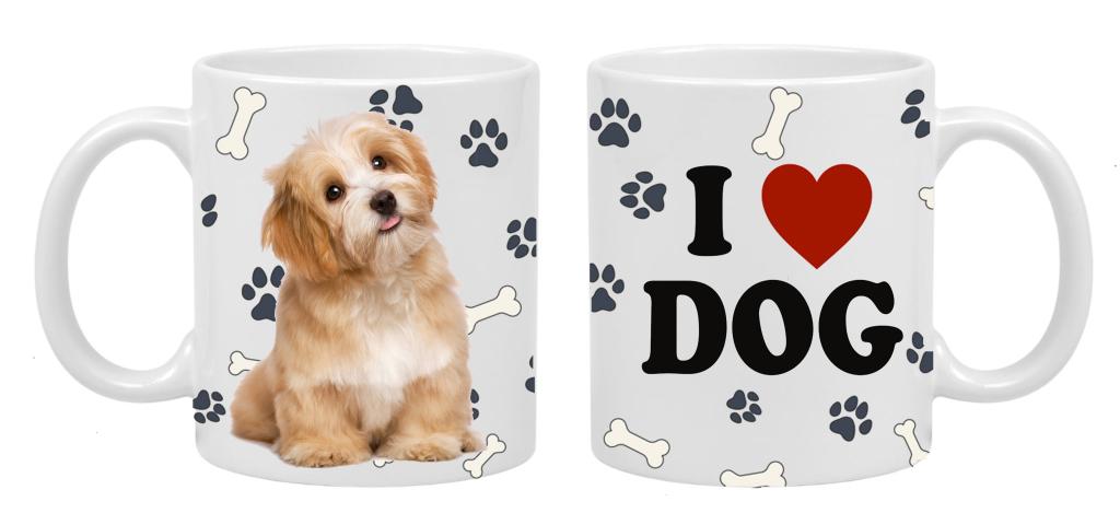 CANECA SHIH TZU