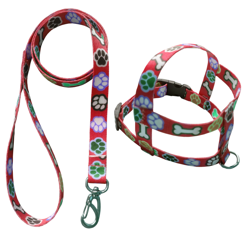CONJUNTO PEITORAL GRADE DE SEDA Nº 04 (TIC-TAC)
