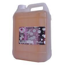 SHAMPOO - ERVA SANTA MARIA 5 LITROS