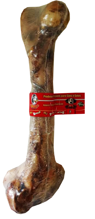 A06 FEMUR BOVINO