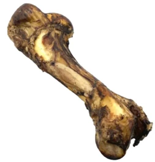 UMERO BOVINO