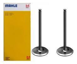 valvula esc.biz 125:m/leve