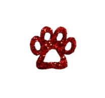 111 - PATA PP (30 UNIDADES)