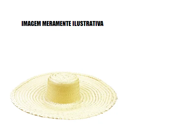 CHAPEU PALHA GIGANTINHO ABA 17cm PATRIARCA
