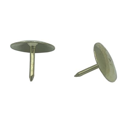 PERCEVEJO LATONADO MISTER