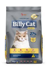 RACAO GATOS BILLY CAT SELECT PEIXE