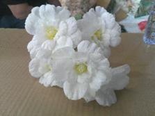 H Flor Artificial Chardonay c/ 5 Flores + 3 Folhas 29 cm MS422
