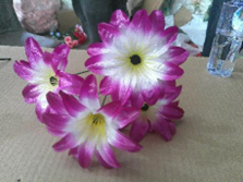 H Flor Artificial Purple White c/ 5 Flores + 3 Folhas 31 cm MS421