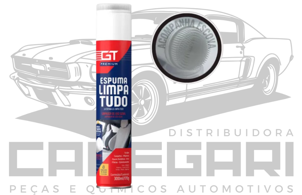 GT-40444 ESPUMA LIMPA TUDO 300 ML