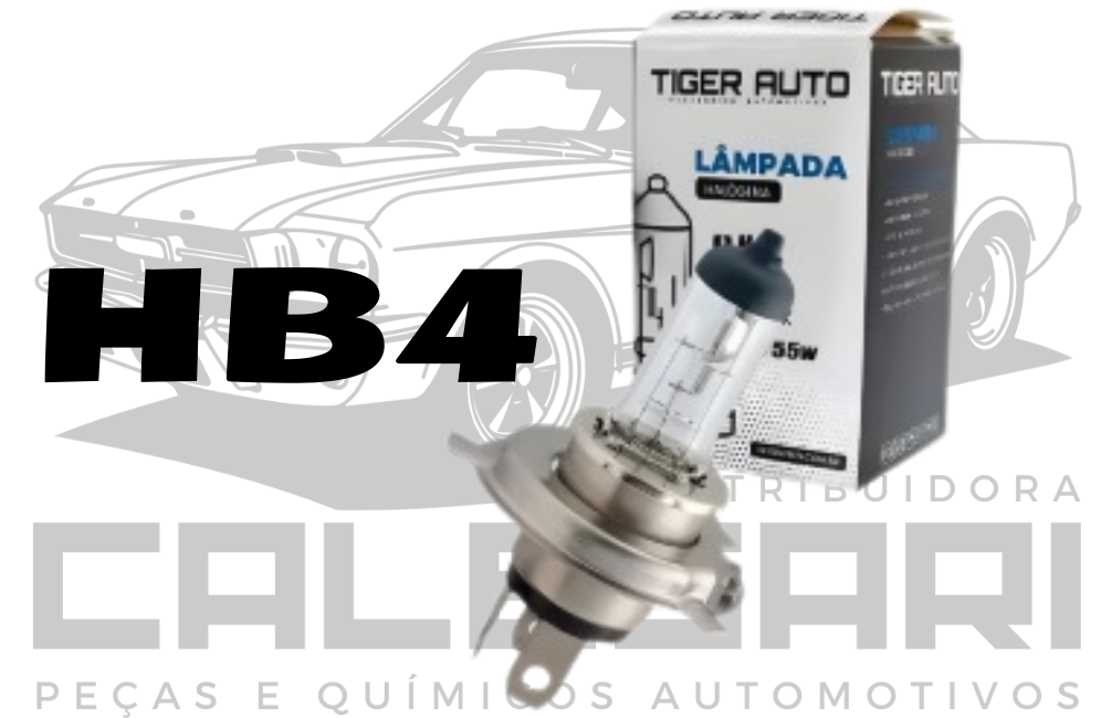 LAMPADA HALOGENA HB4 12V/61W