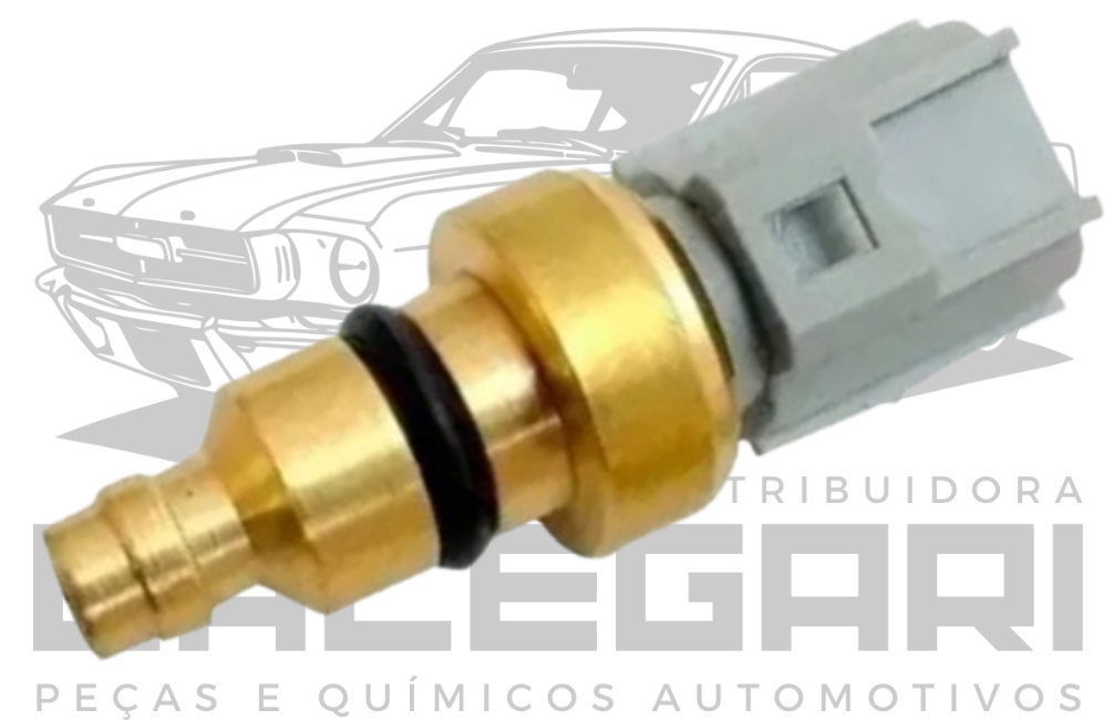 SENSOR TEMPERATURA FORD ZETEC ROCAM (4067) CINZA XS6F12A648BA