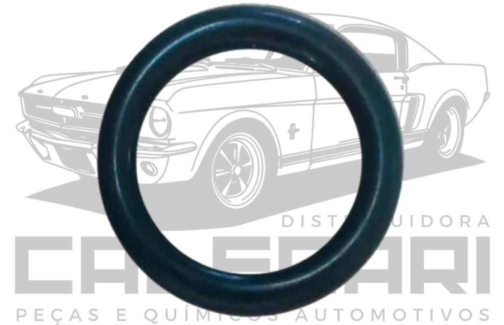 ARRUELA ORING LINHA GM PRETA (LA 489A)